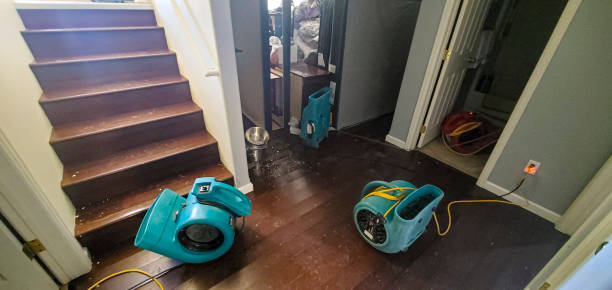 Best Fire Damage Restoration  in Splendora, TX