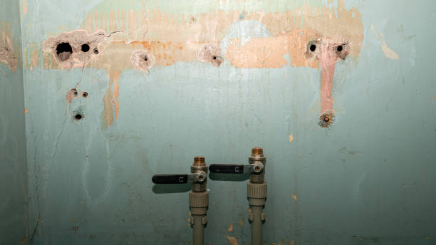 Best Commercial water damage restoration  in Splendora, TX