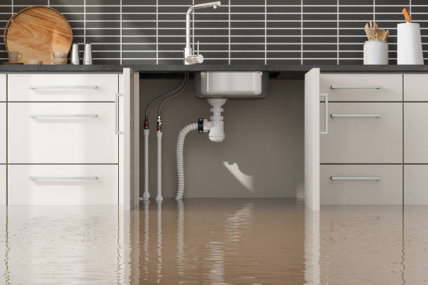 Best 24/7 water damage repair  in Splendora, TX