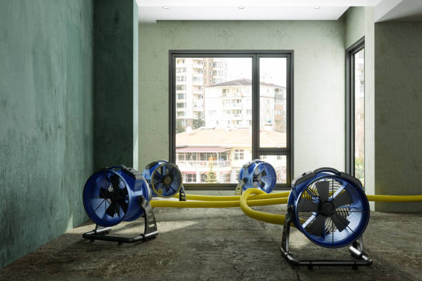 Best Professional water damage repair  in Splendora, TX